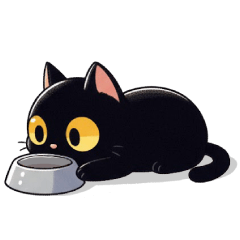 小黑炭喵喵★快樂貓生