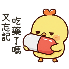 小黃雞要按時吃藥