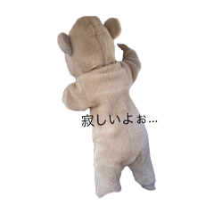 Nchan_20251119173339