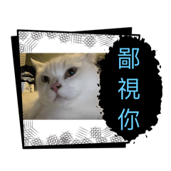 鑫鑫日常小劇場