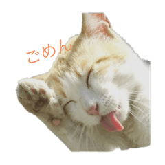 Nikon_20251119233137