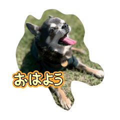 mochi_20251119193218