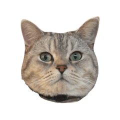 karin_20251119152431