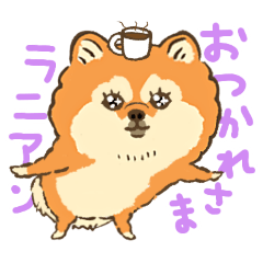 ポメっこまにあ