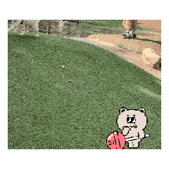 yuka_20251120120052