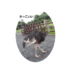 AKANE_20251119181334