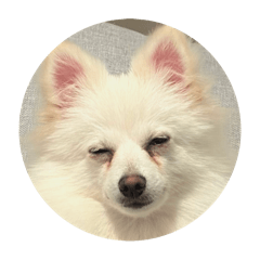 nagisa_20251119223925