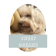 Paris_20251119224610