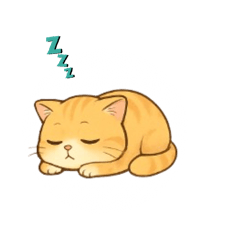 Neko kokoo
