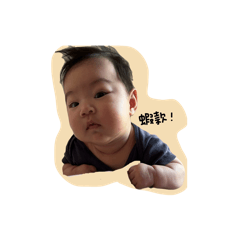 豆皮是我是豆皮