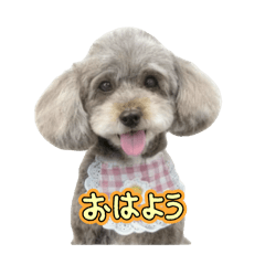 Cochan_20251120143031