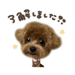 リリちゃん♡mix