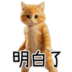 Dancing Cat! The Forever Dance Pack CN