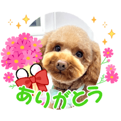 POCHI_20251120154429