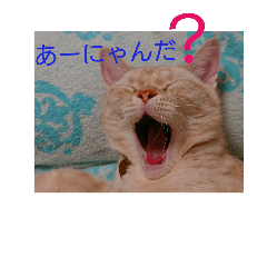 yout7