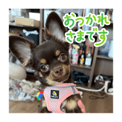 natsu_20251120163935