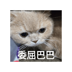 小ㄇ咪咪咪咪咪