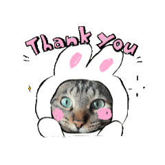 Kinako_20251120211019