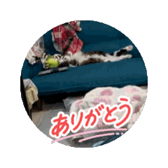 yukidaifuku_20251120221511