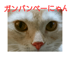 yout8