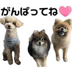 kazuki_20251120172032