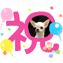 kaori_20251120215058