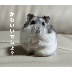 MIZUKI_20251120220450