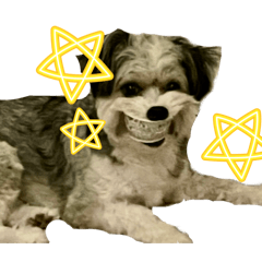 Wakana_20251120235938