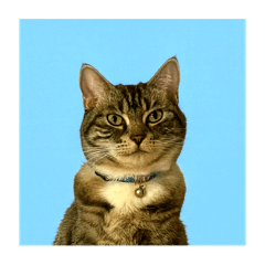 paris_20251121021527