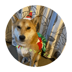 ponta_20251120163441