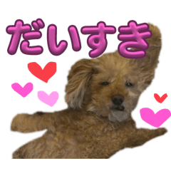 Kinako_20251120173044