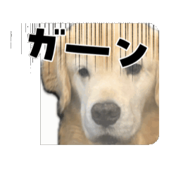 Minto_20251120215713