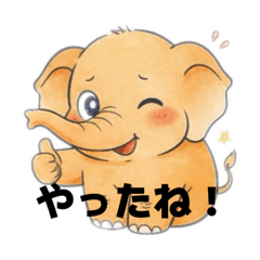 ONAGA_20251120220641