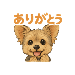 Leo's Yorkshire Terrier