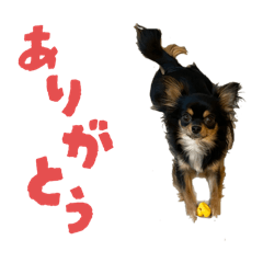 Shimeji_20251120192745