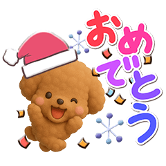 Toy poodle Red (3D2)