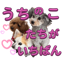 Osugi_20251120203838