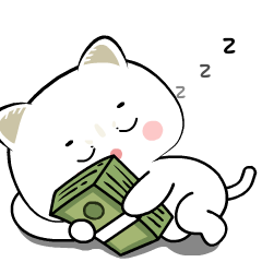 British Shorthair Cat 9