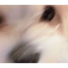 omochi_20251120202348