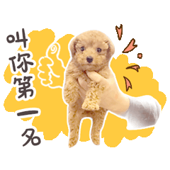 肉鬆日常