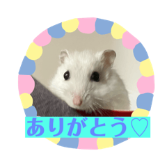 OMOCHI_20251120203114