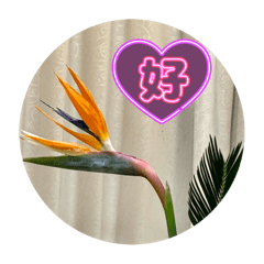 chumei_20251121081156