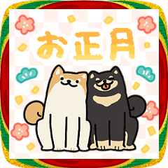 わんことお正月