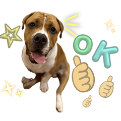 ayame_20251120221948