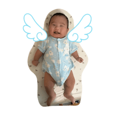 wakana_20251120222729