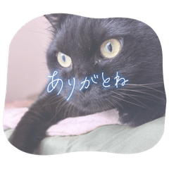 MIZUKI_20251121004952