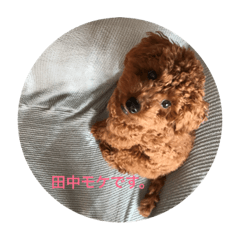 moke  tanaka