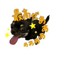 akane_20251121125017