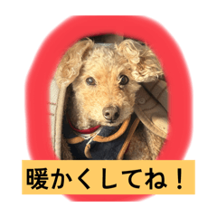 makooo_20251121125614