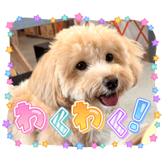 Yuka_20251121010016
